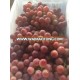 sell Red grapes/Fresh red grapes/Best fresh red grapes