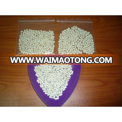 White Kidney Beans