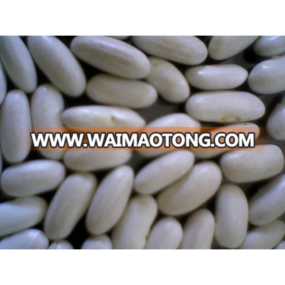 White Kidney Beans