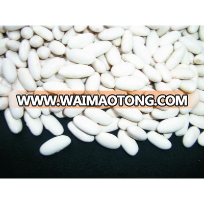 White Kidney Beans