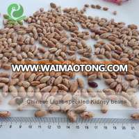 Wholesale Chinese Light Speckled Kidney beans, Common LSKB