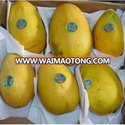 Fresh Mango