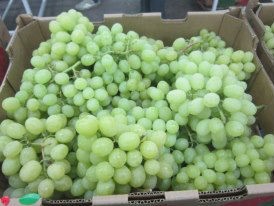 FResh Grapes