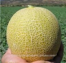 Melon